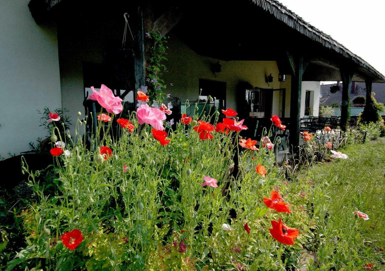 Wodne Ogrody Villa Dobczyce Exterior photo